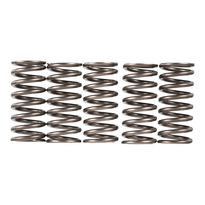 Premier Clutch Springs - Heavy Duty
