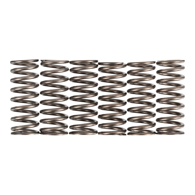 Premier Clutch Springs - Heavy Duty