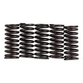 Premier Clutch Springs - Heavy Duty