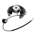 Stator + Rotor + Ignition Coil Kit (RMS900-107608)