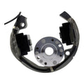 Stator + Rotor + Ignition Coil Kit (RMS900-107608)