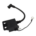 Stator + Rotor + Ignition Coil Kit (RMS900-107608)