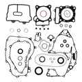 Complete Gasket Set with Oil Seals 8110050