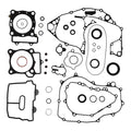 Complete Gasket Set with Oil Seals 8110050