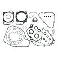 Complete Gasket Set with Oil Seals 8110068
