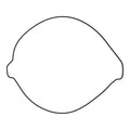 Outer Clutch Gasket Kit 819267
