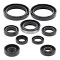 Oil Seal Kit 822316