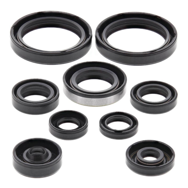 Oil Seal Kit 822316