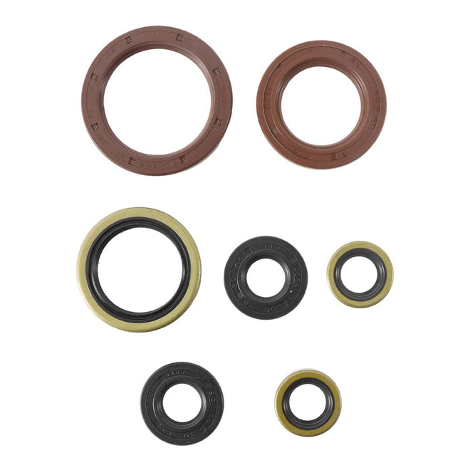 Oil Seal Kit 822372
