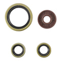 Oil Seal Kit 822374