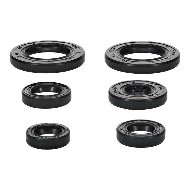 Oil Seal Kit 822391