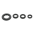 Oil Seal Kit 822395