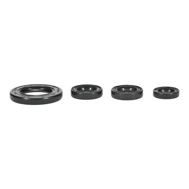Oil Seal Kit 822395