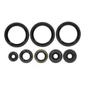 Oil Seal Kit 822403