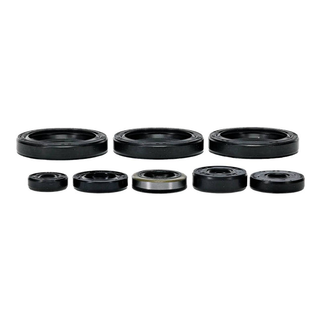 Oil Seal Kit 822403