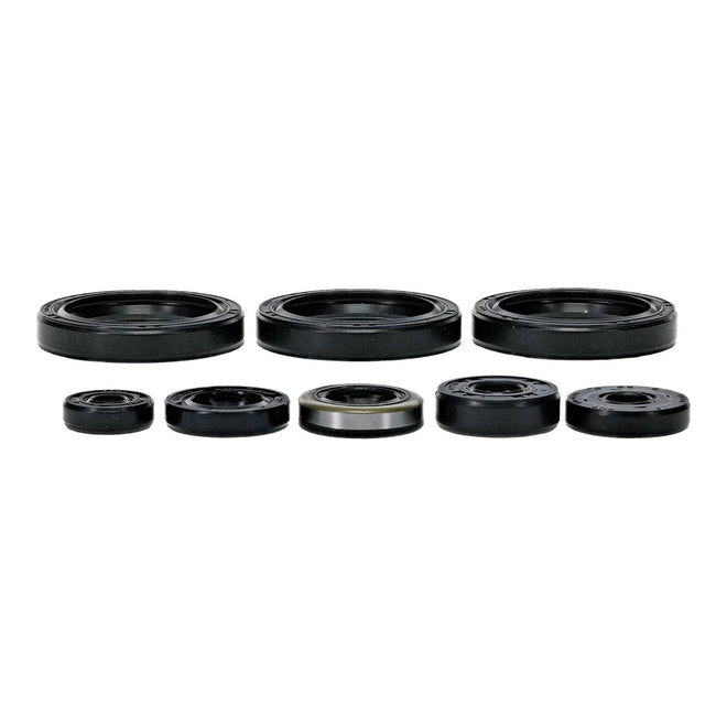 Oil Seal Kit 822403