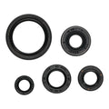 OIL SEAL KIT 822994