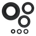 Oil Seal Kit 822997