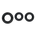 Oil Seal Kit 822999