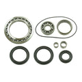 Whites Differential Seal Kit