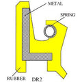 DR2 FORK SEALS