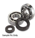 Crank Bearings & Seal Kit